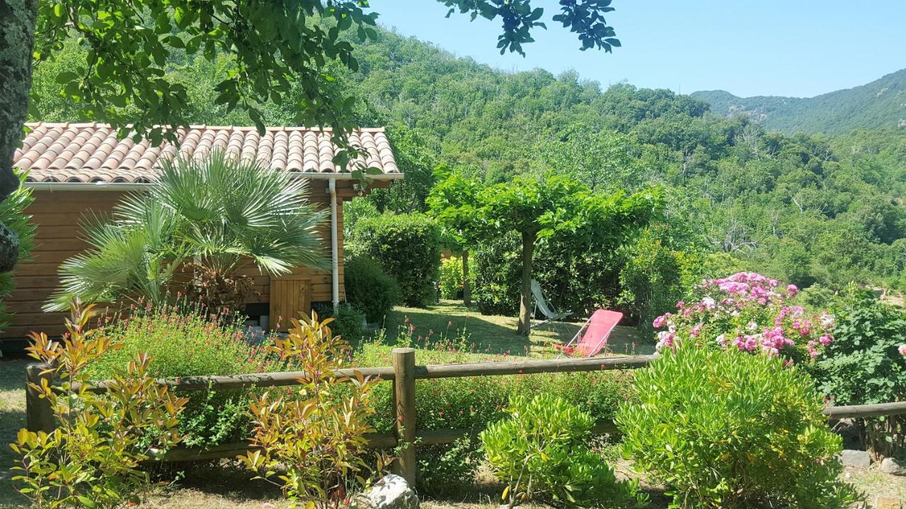 Les Chalets Et Gite Du Haut Taravo Zicavo Ngoại thất bức ảnh