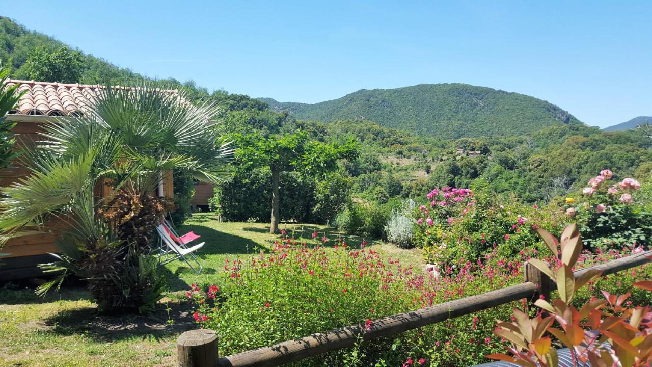 Les Chalets Et Gite Du Haut Taravo Zicavo Ngoại thất bức ảnh