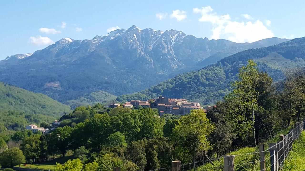 Les Chalets Et Gite Du Haut Taravo Zicavo Ngoại thất bức ảnh