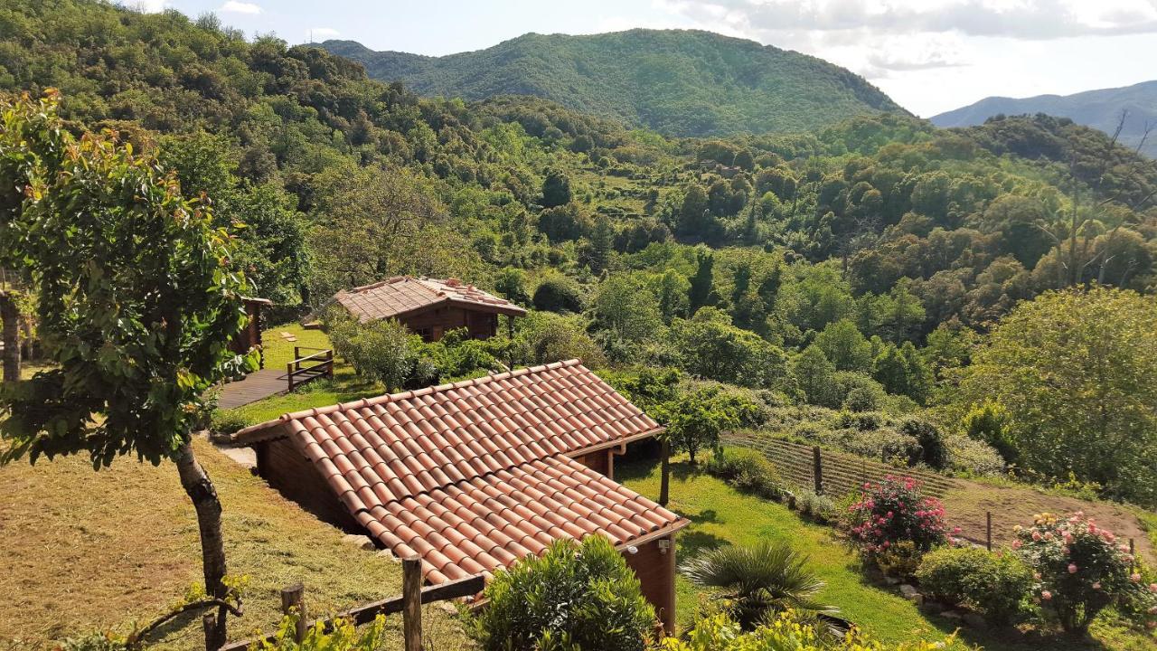 Les Chalets Et Gite Du Haut Taravo Zicavo Ngoại thất bức ảnh
