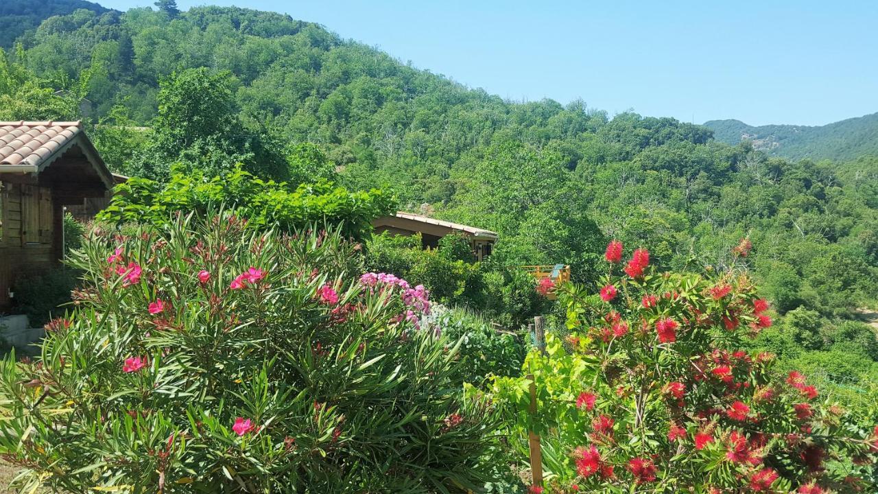 Les Chalets Et Gite Du Haut Taravo Zicavo Ngoại thất bức ảnh