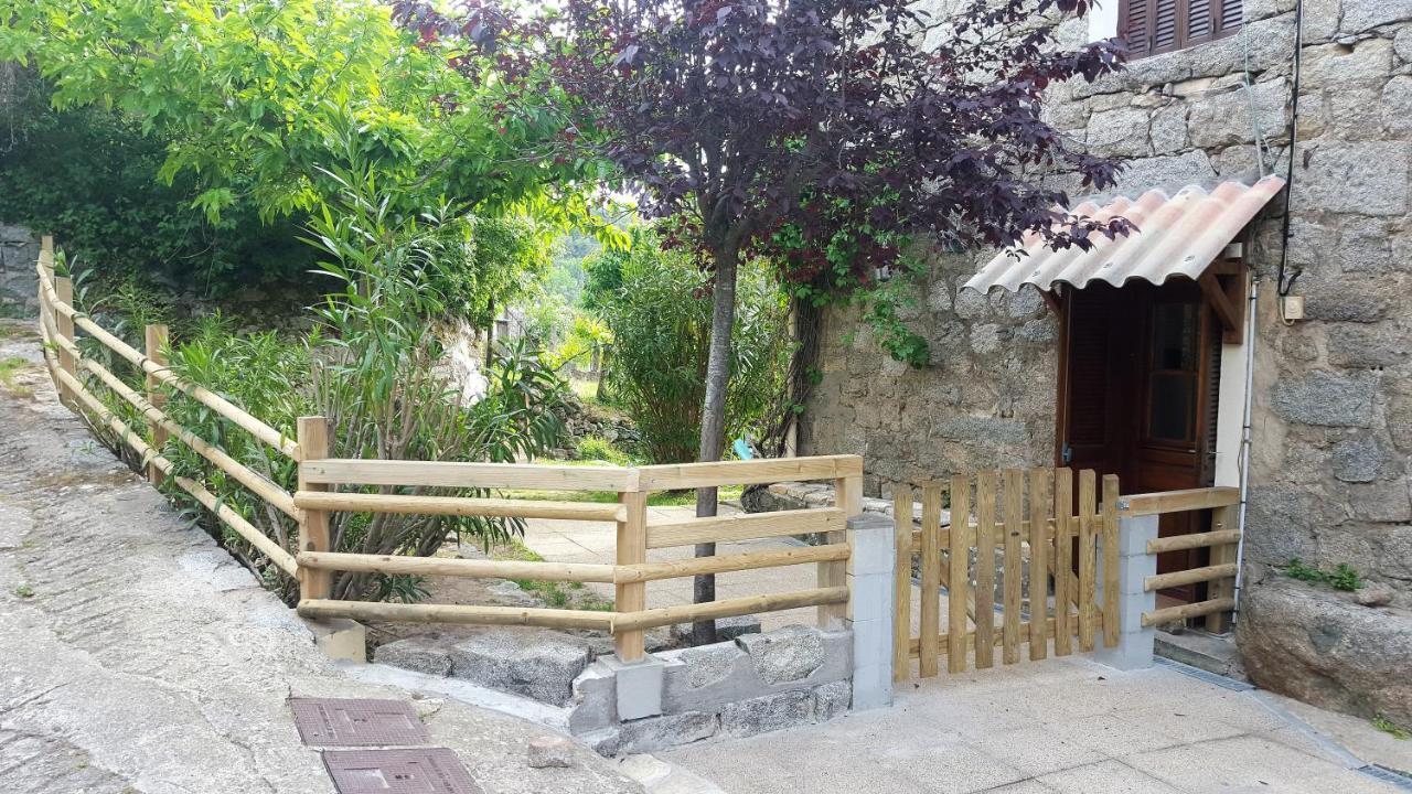 Les Chalets Et Gite Du Haut Taravo Zicavo Ngoại thất bức ảnh