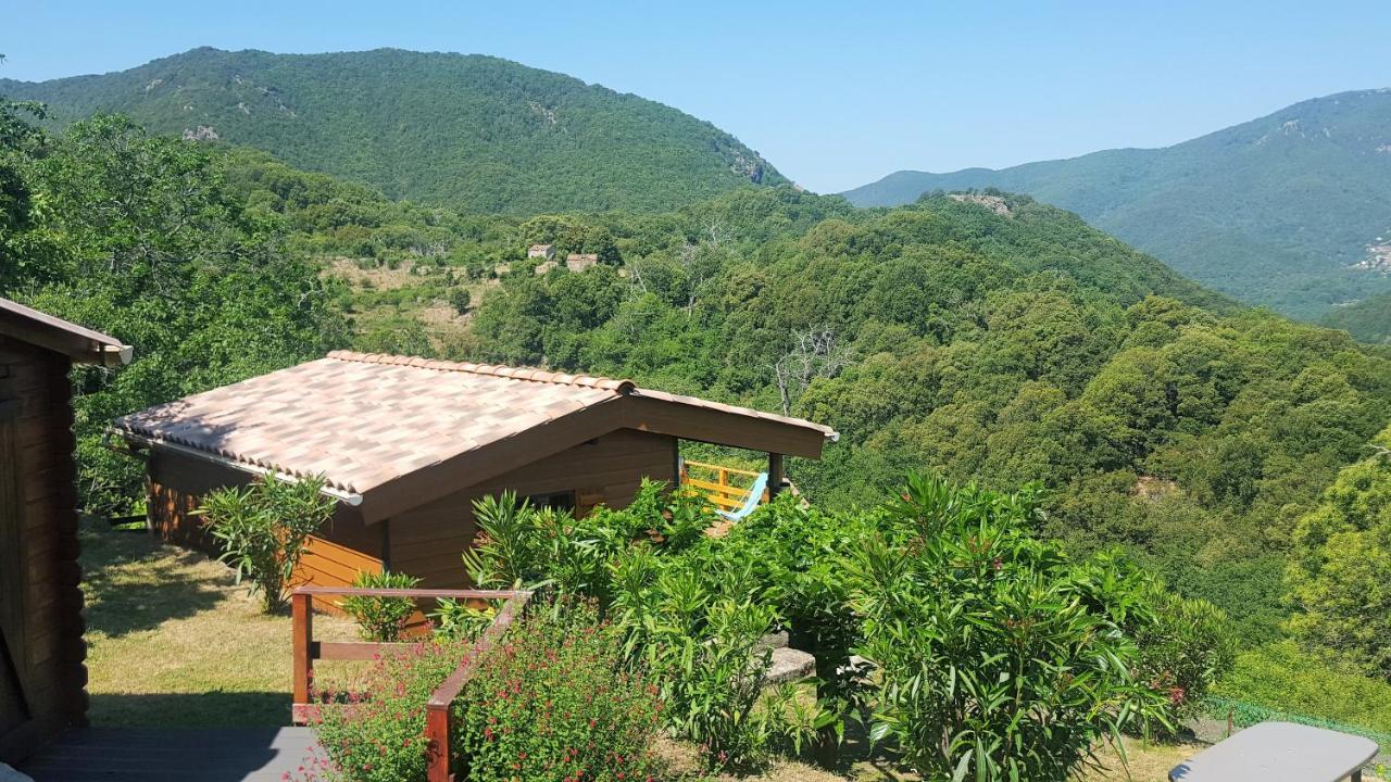 Les Chalets Et Gite Du Haut Taravo Zicavo Ngoại thất bức ảnh