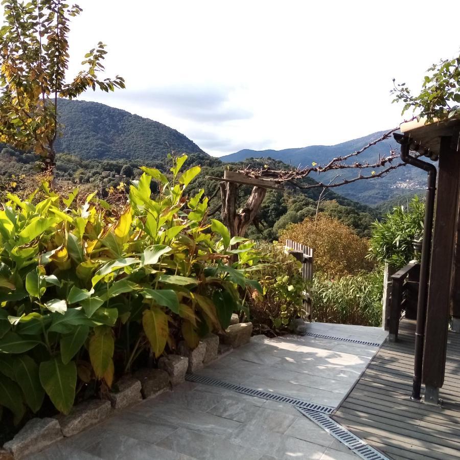 Les Chalets Et Gite Du Haut Taravo Zicavo Ngoại thất bức ảnh