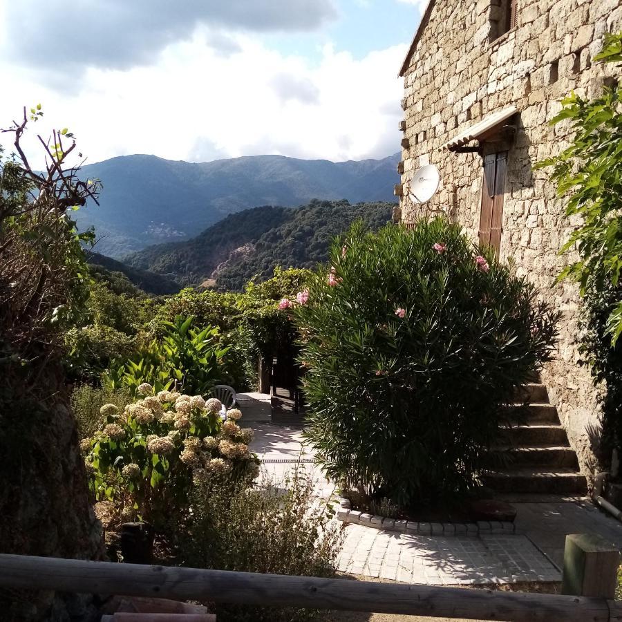 Les Chalets Et Gite Du Haut Taravo Zicavo Ngoại thất bức ảnh